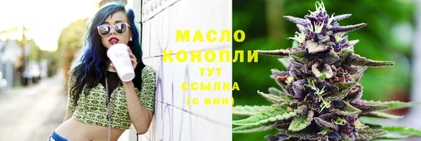индика Аркадак