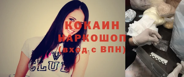 индика Аркадак