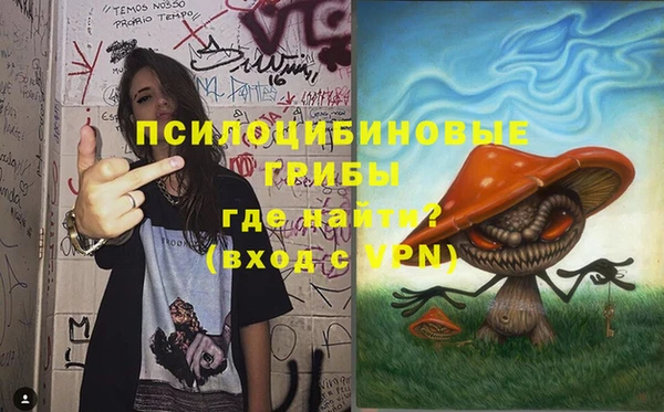 индика Аркадак