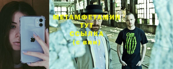 индика Аркадак